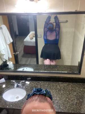 MissKay 27Yrs Old Escort Miami FL Image - 5