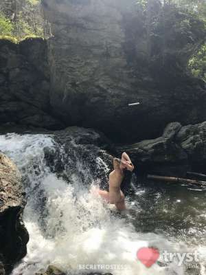 Escort Cranbrook Image - 11