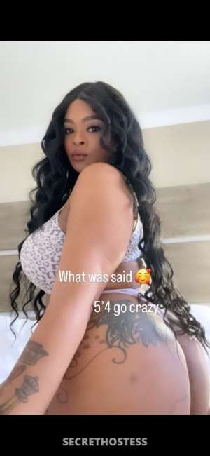 29Yrs Old Escort Concord CA Image - 4