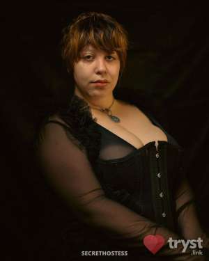 bandit - thicker than a bowl of oatmeal 0 year old Escort in Hartford CT