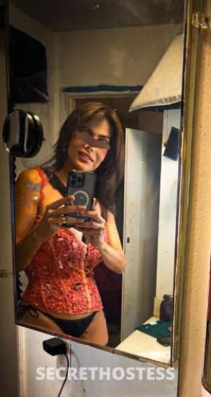 49 year old American Escort in San Fernando Valley CA In calls only appoiment only please no text at all