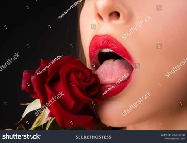 48Yrs Old Escort Size 14 Albury Image - 2