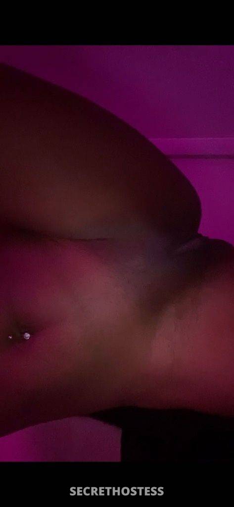 Dynasty 27Yrs Old Escort Virginia Beach VA Image - 2