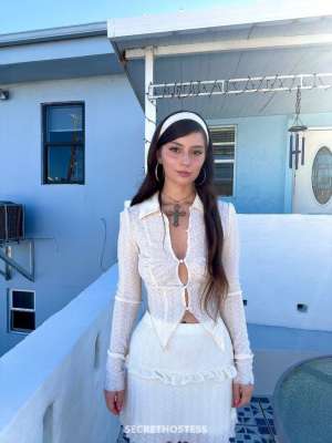 25 year old Escort in West Palm Beach FL Curvy Exotic Brunette 1 Gorl