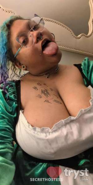 Trinket - Frisky and fun! Come play 0 year old Escort in Augusta GA