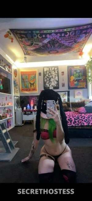 29 year old Australian Escort in Tamworth Incall x outcall now available, Tamworth