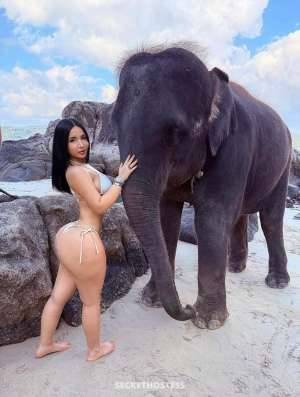 Lexi baby 27Yrs Old Escort Birmingham AL Image - 1