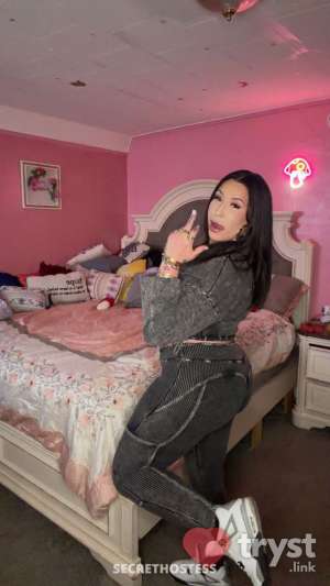 Trace - Sexy light skin latina 0 year old Escort in Rochester NY