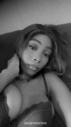 23Yrs Old Escort 168CM Tall London Image - 4