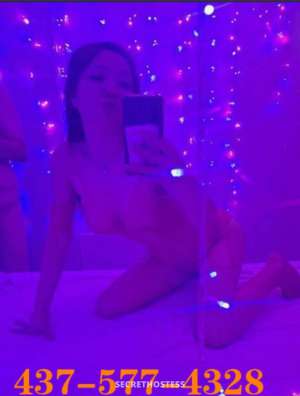 Kiki 24Yrs Old Escort London Image - 5