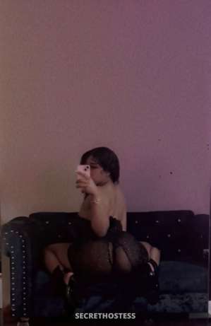 Lola 23Yrs Old Escort Detroit MI Image - 3