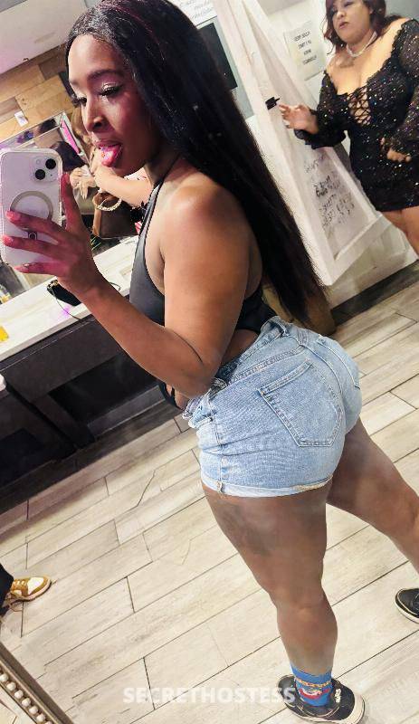28Yrs Old Escort Corpus Christi TX Image - 1