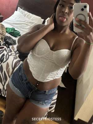 28Yrs Old Escort Corpus Christi TX Image - 4