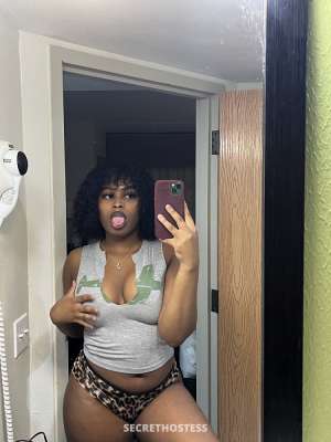 Clover Escort model 0 year old Escort in San Antonio TX