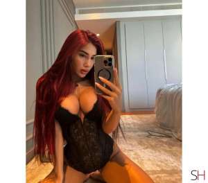 25 year old Latino Escort in Cheltenham Gloucestershire NO RUSH ❤️ BEST SERVICE &amp; GFE ❤️DUO ., 