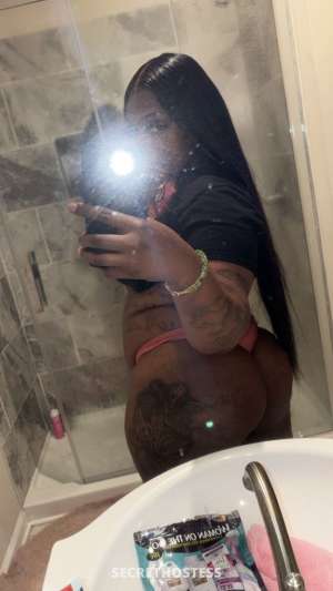 26 year old Escort in Raleigh NC Let me come soak you up daddy me 🤫🤫 OUTCALLS ONLY