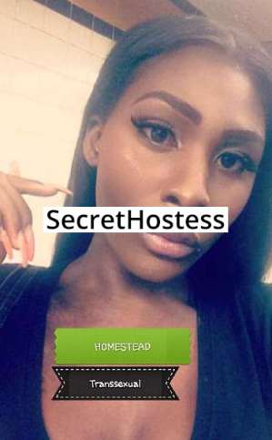 30 year old African American Escort in Miami FL 30Yrs Old African American Escort Brunette C Cup 168CM Tall 