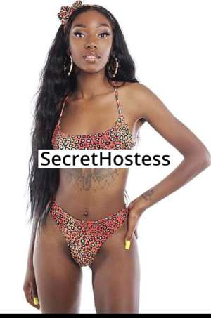 21 year old Escort in Dallas TX Amor 21Yrs Old African American Escort Black A Cup 168CM 