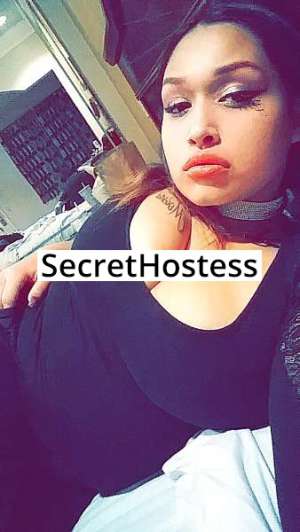 21 year old Escort in Houston TX Golden