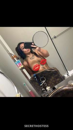 Alice 25Yrs Old Escort Detroit MI Image - 1