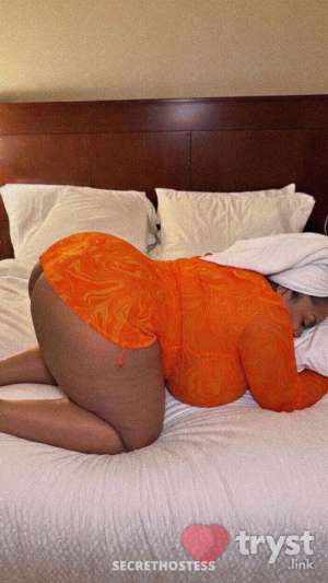 D Jones - Extra Busty Bombshell 0 year old Escort in Jersey City NJ