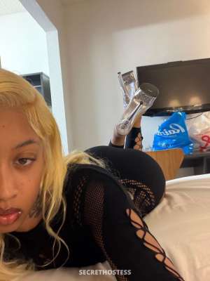 22 year old Escort in San Jose CA Sexy petite lightskin ebony