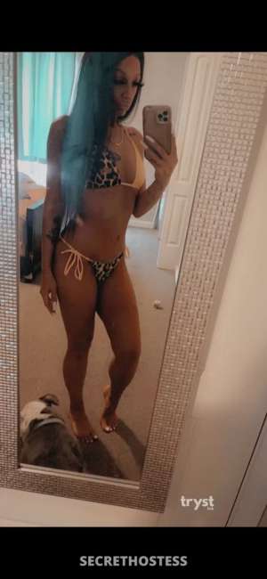 27 year old Italian Escort in Albany NY Sexy Italian Mistress