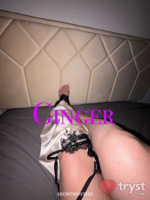 29Yrs Old Escort Size 6 158CM Tall Charlotte NC Image - 3
