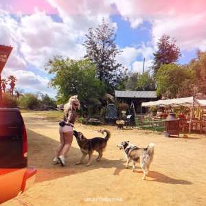 25Yrs Old Escort Frederick MD Image - 2