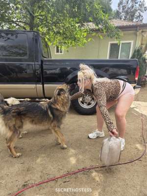 25Yrs Old Escort Frederick MD Image - 3