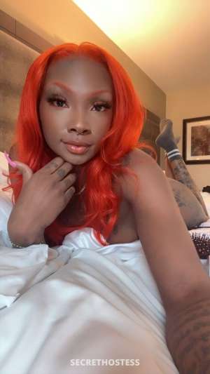 CHOCOLATE Beauty come get some hot coco can verify 27 year old Escort in Grand Rapids MI