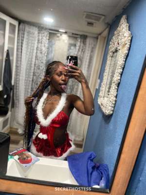 ⭐️star 19Yrs Old Escort Tampa FL Image - 2