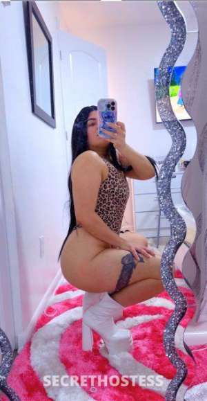 Cubanita sexy 23 year old Escort in Sarasota / Bradenton FL