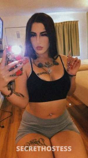 Alyssa 25Yrs Old Escort Monterey CA Image - 2