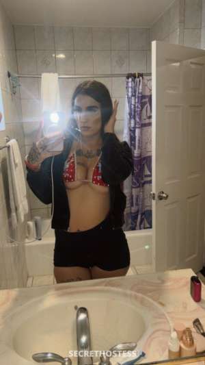 Alyssa 25Yrs Old Escort Monterey CA Image - 5