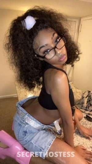 Sydney 23Yrs Old Escort Myrtle Beach SC Image - 1