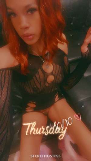 28Yrs Old Escort Denver CO Image - 1