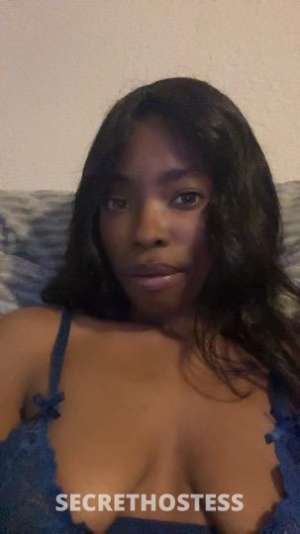 Quinn 23Yrs Old Escort Tampa FL Image - 5