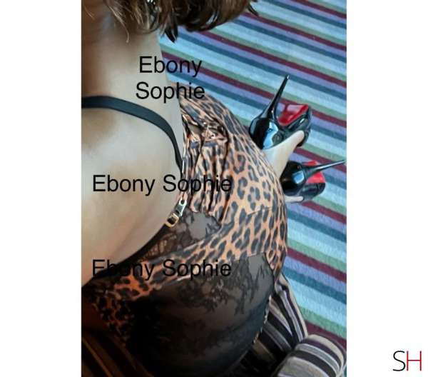Sophie 34Yrs Old Escort Hertfordshire Image - 0