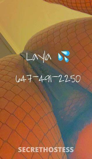 Layla 25Yrs Old Escort Toronto Image - 4