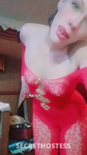 Kaylak 29Yrs Old Escort San Jose CA Image - 2