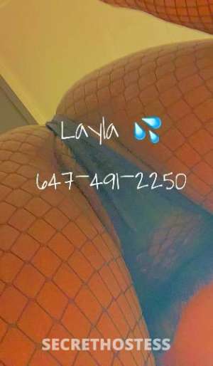 Layla 25Yrs Old Escort Toronto Image - 4