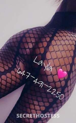 Layla 25Yrs Old Escort Toronto Image - 6