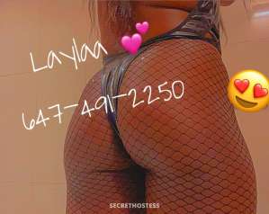 Layla 25Yrs Old Escort Toronto Image - 7