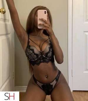 25Yrs Old Escort Gatineau Image - 8