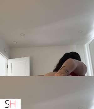 J'ai hâte de réaliser tous vos fantasmes 29 year old Escort in Salaberry-de-Valleyfield