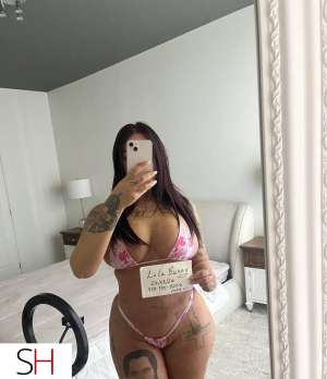 30Yrs Old Escort Quebec City Image - 11