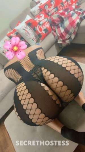 Paola 27 year old Escort in Carlsbad NM