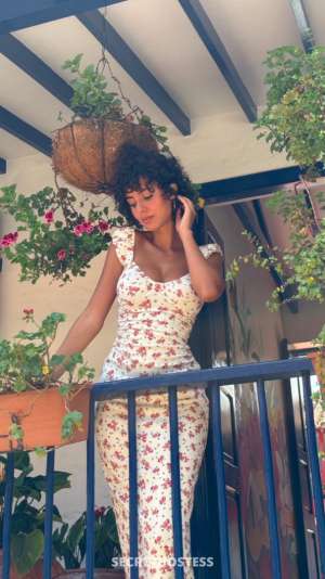 Luna 25Yrs Old Escort Space Coast FL Image - 6