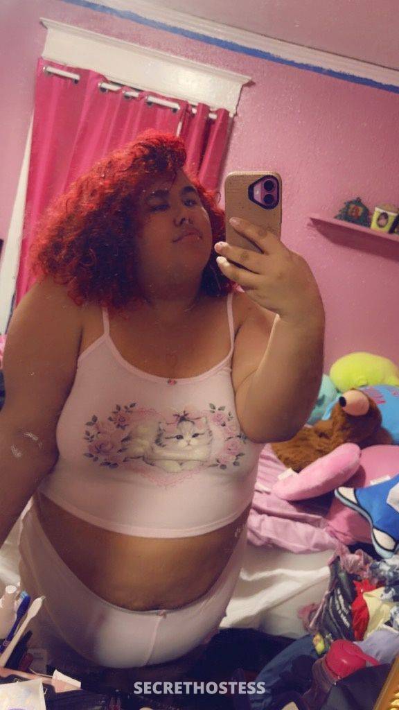 25Yrs Old Escort Bridgeport CT Image - 4